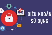 ĐIỀU KHOẢN SỬ DỤNG WEBSITE